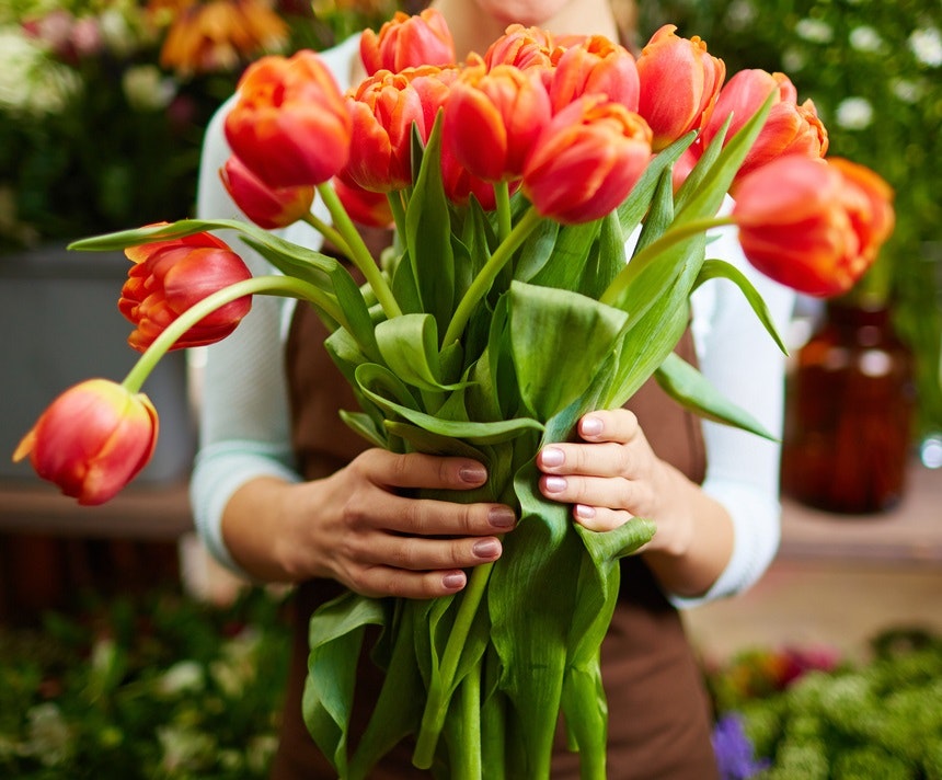 hands holding bunch of tulips 